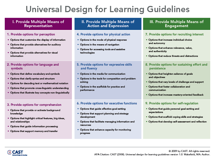 Universal Design For Learning Guidelines Chart